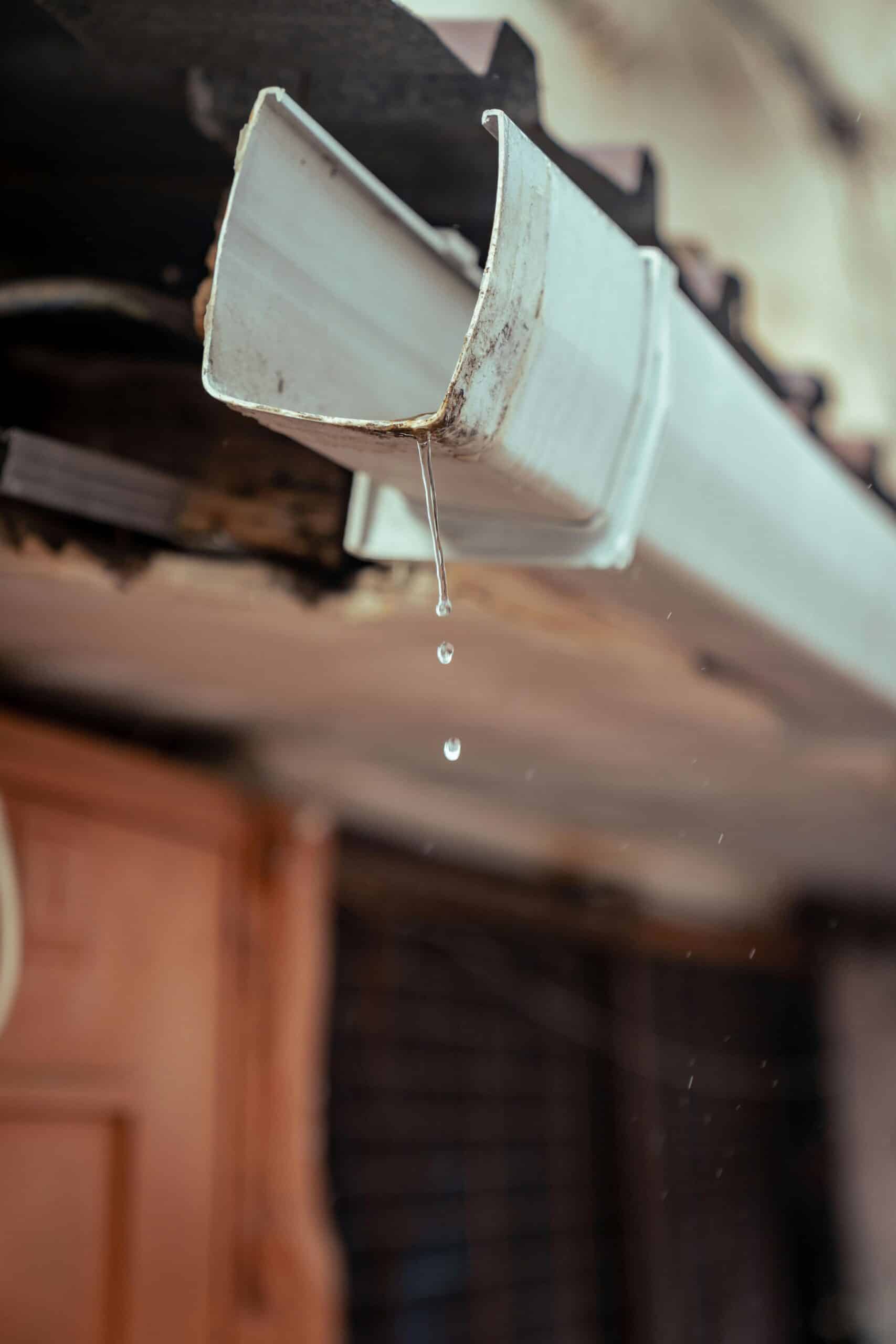 Gutter Cleaning