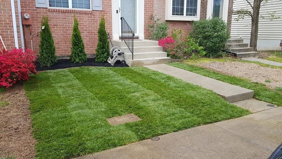 Grass Seeding